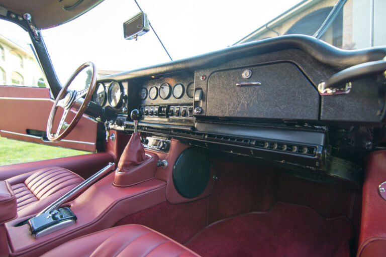 Jaguar (1)