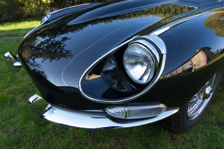 Jaguar (10)