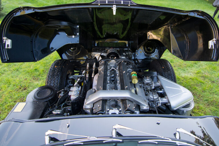 Jaguar (2)