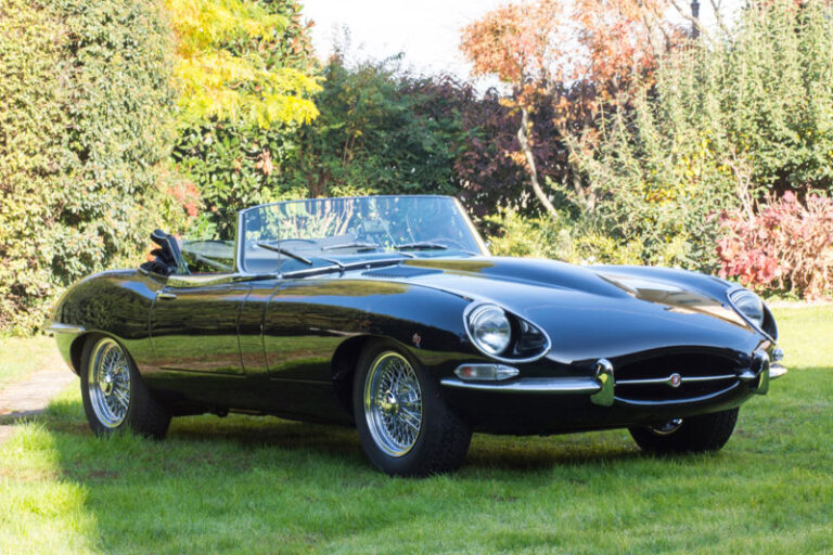 Jaguar (3)