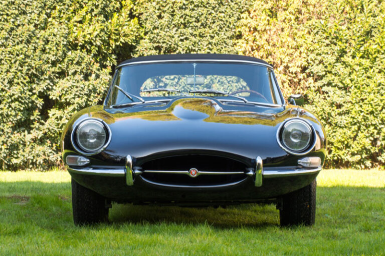 Jaguar (5)