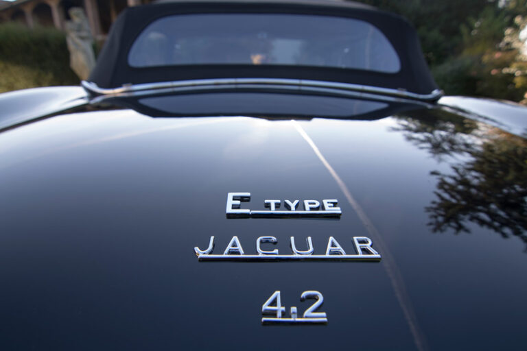 Jaguar (8)